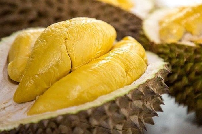 harga durian musang king