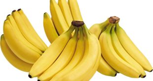 harga pisang sunpride