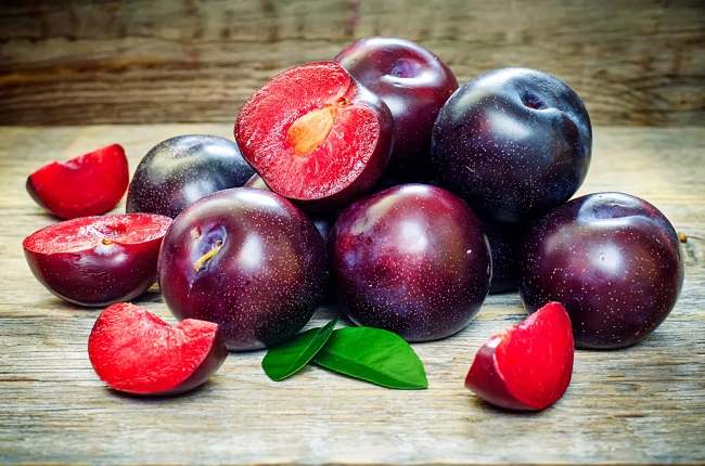 harga buah plum