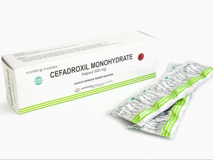 harga cefadroxil monohydrate