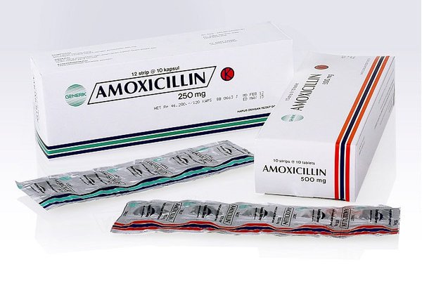 harga Amoxicillin di apotek